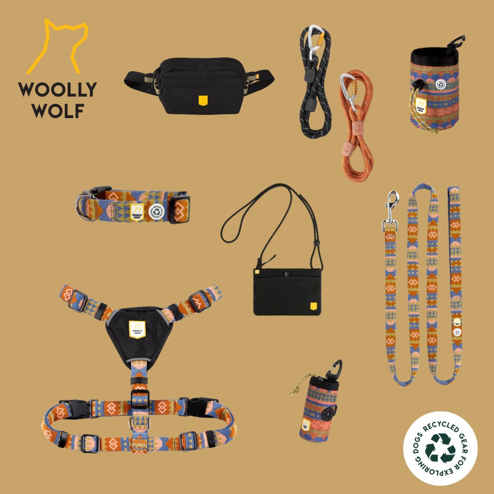 Hondenriem Woolly Wolf Nightless Night RPET 150 cm