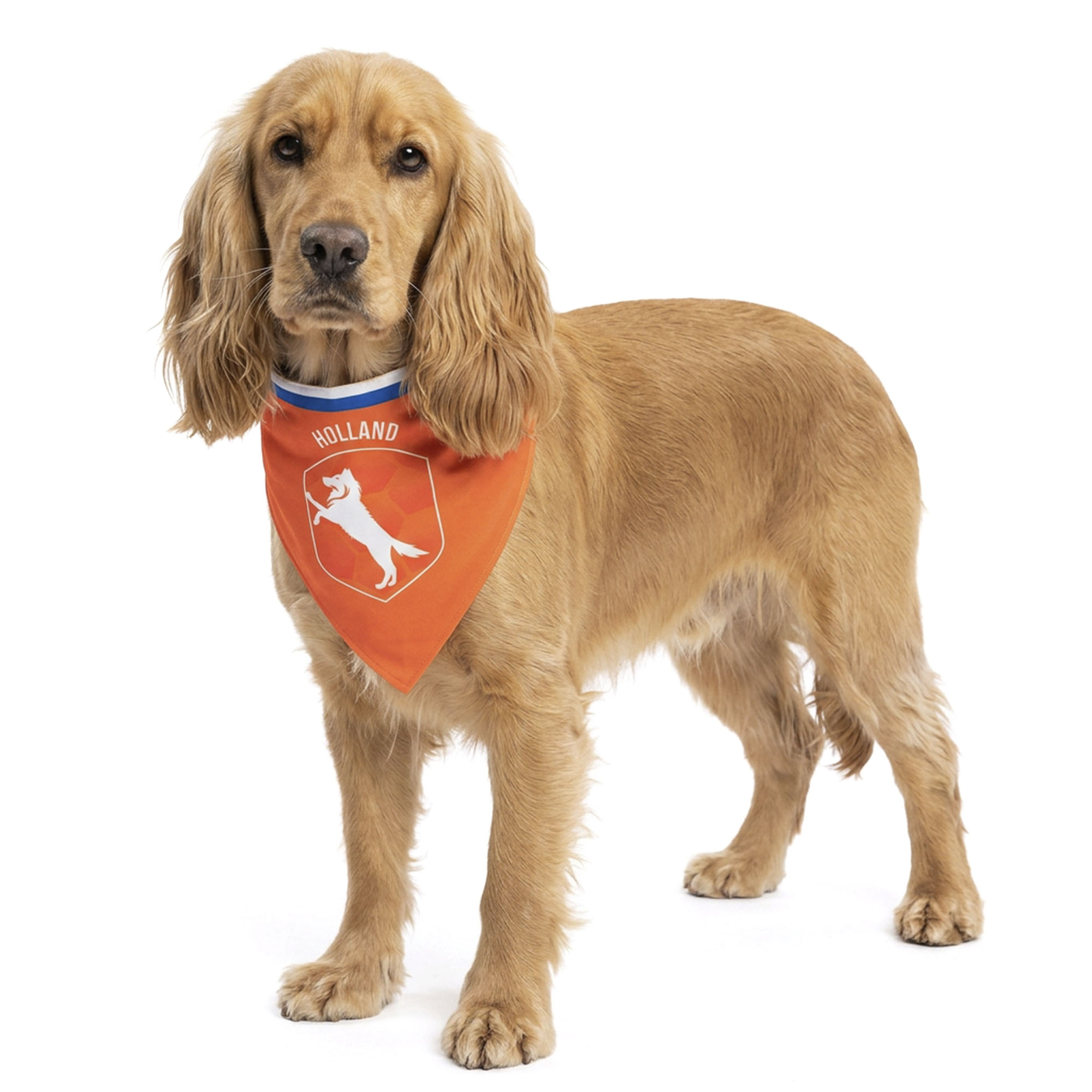 Oranje Bandana Holland hondenbandana maat M