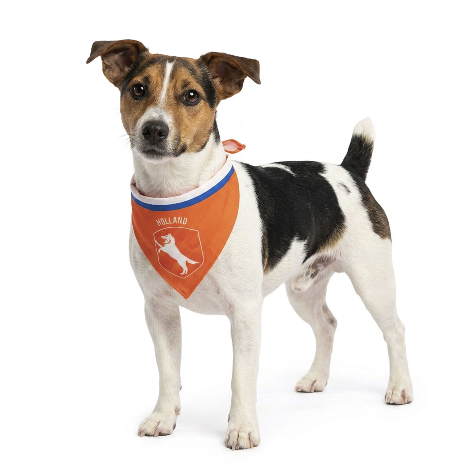 Oranje Bandana Holland hondenbandana maat S