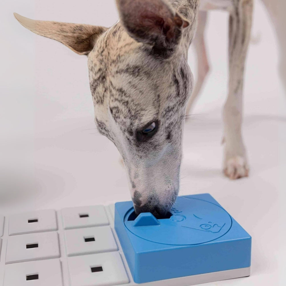Pawzler Oli intelligentiespel blauw