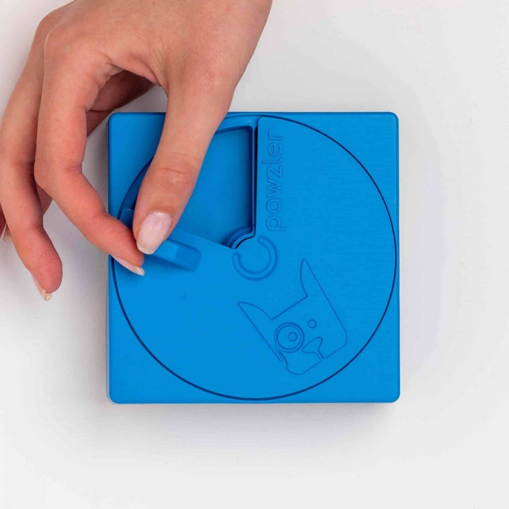 Pawzler Oli intelligentiespel blauw
