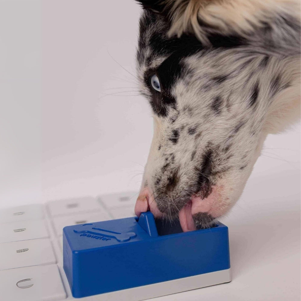 Pawzler Onix intelligentiespel blauw