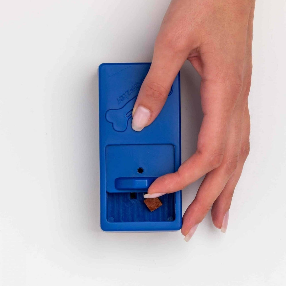 Pawzler Onix intelligentiespel blauw