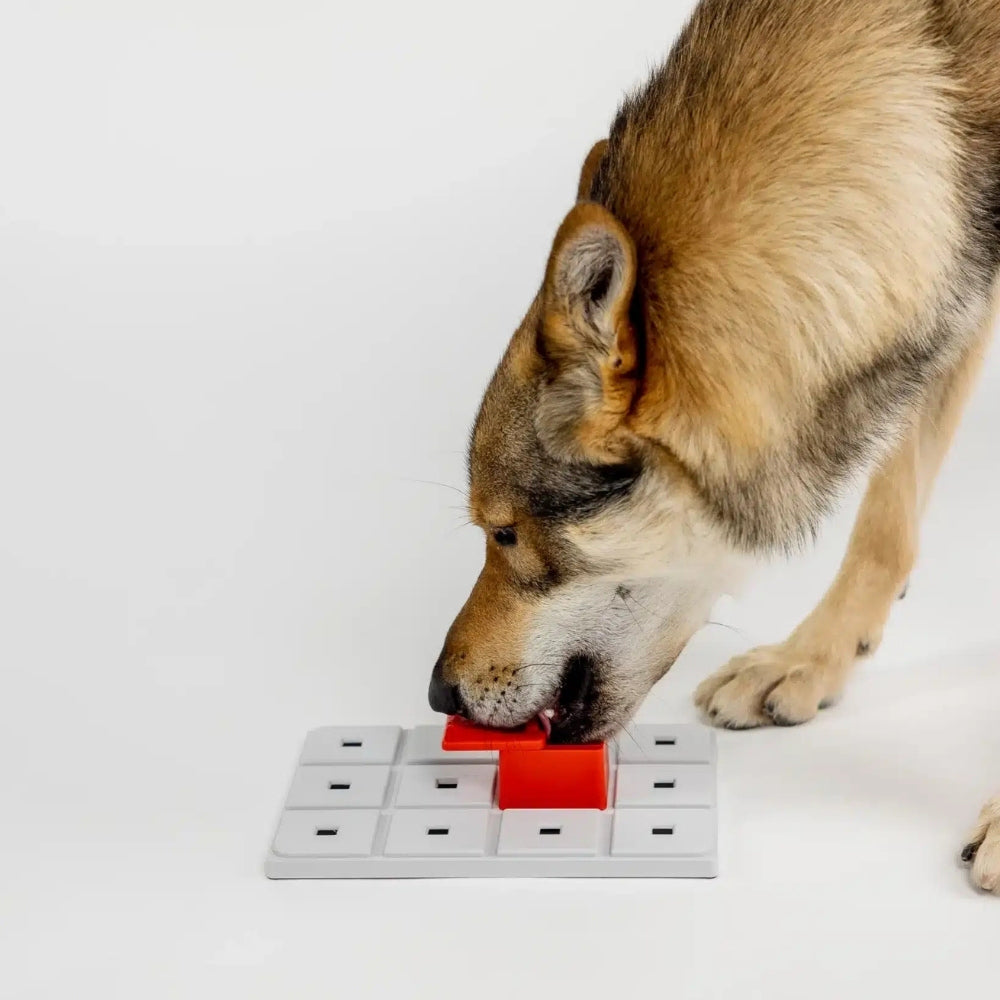 Pawzler Peach intelligentiespel {{material}} {{size_label}}