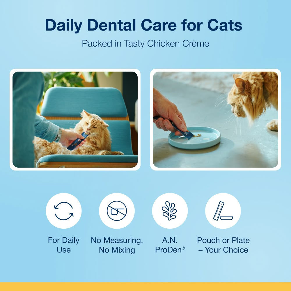 ProDen PlaqueOff® Crème Kat - 6-pack