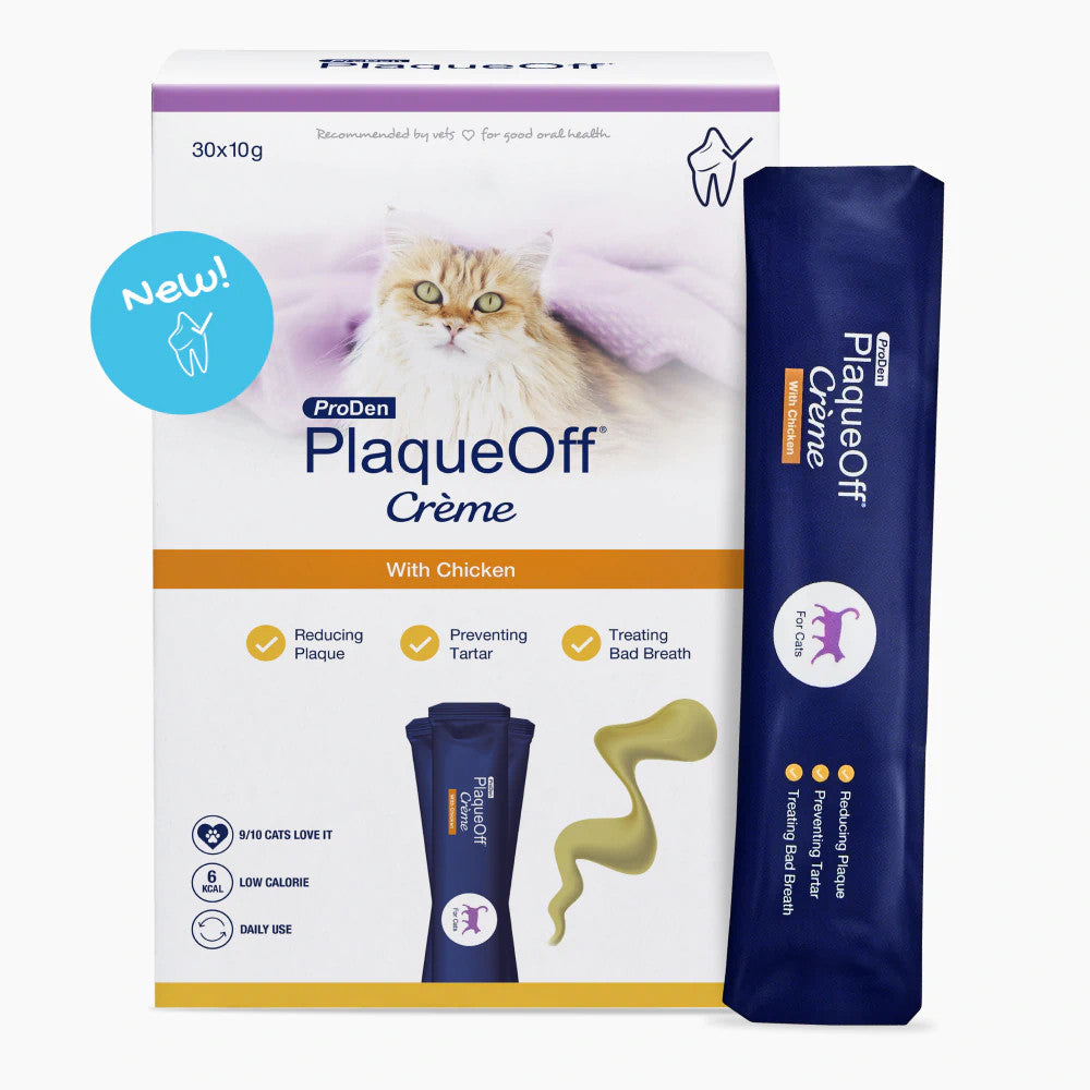 ProDen PlaqueOff® Crème Kat - Gebitssnack