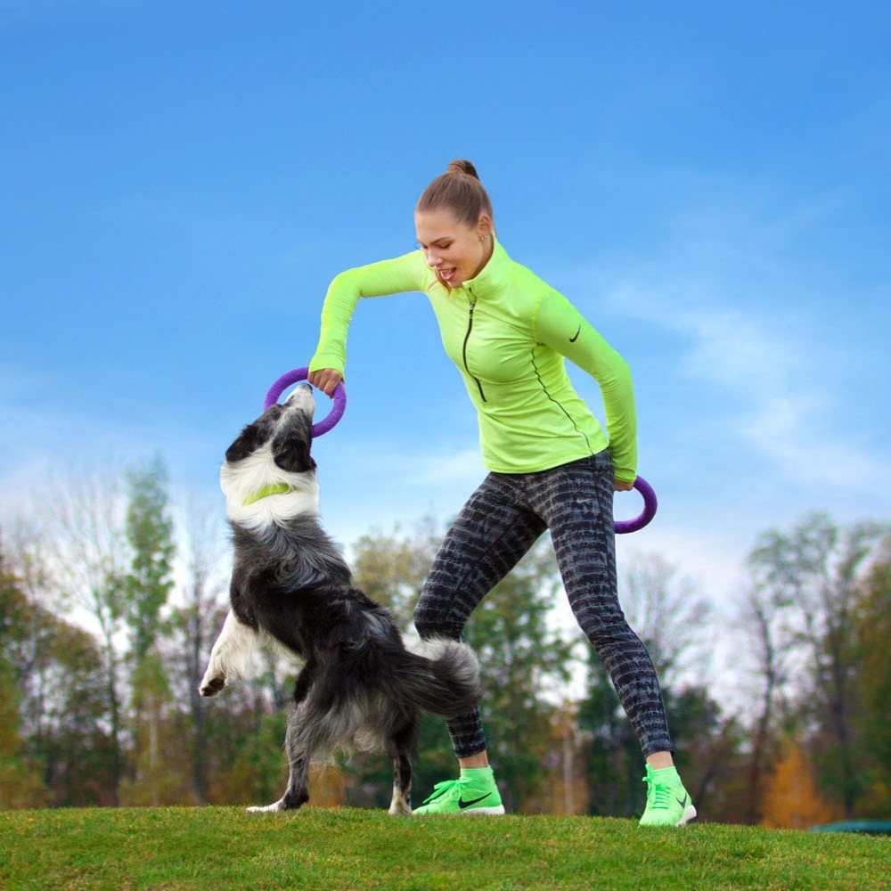 Puller Dog Fitness Tool - Trainingsmiddel