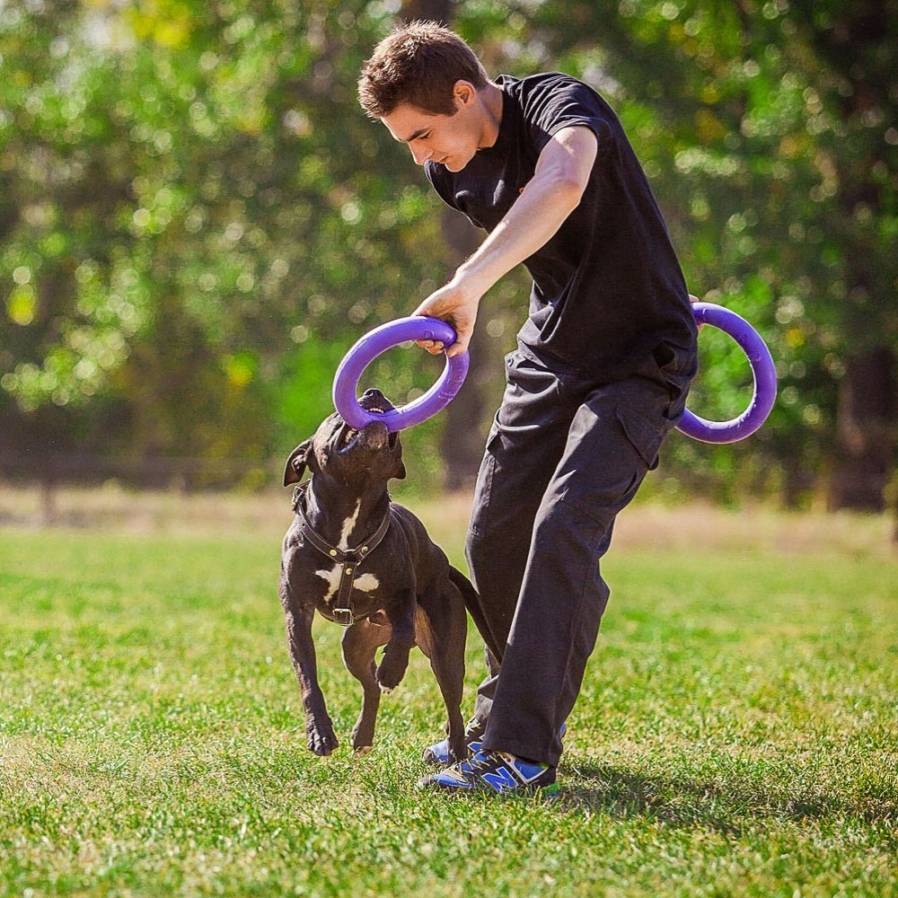 Puller Dog Fitness Tool - Trainingsmiddel
