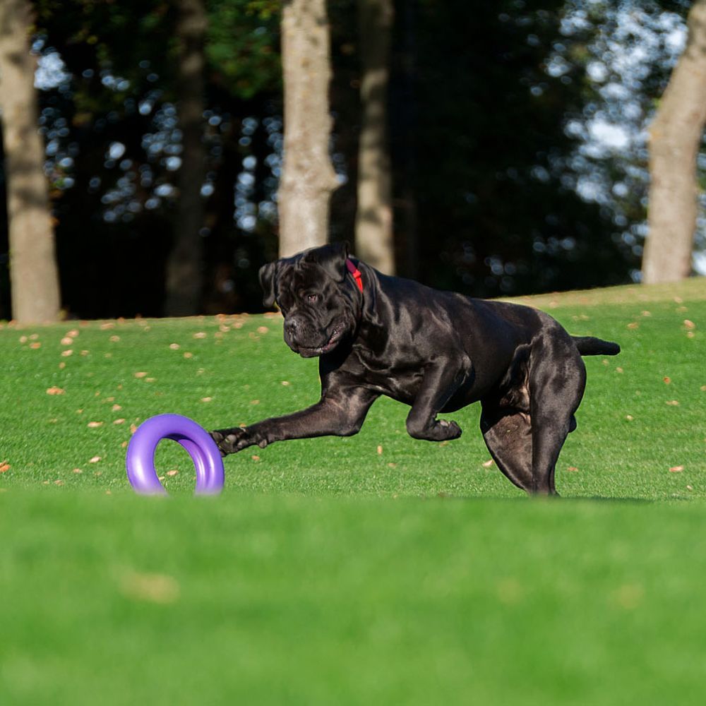 Puller Dog Fitness Tool apporteerspeelgoed nylon drijvend Mini 18 cm