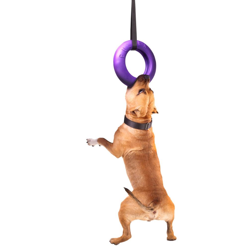 Puller Dog Fitness Tool apporteerspeelgoed nylon kunststof silumin drijvend Midi 19.5 cm