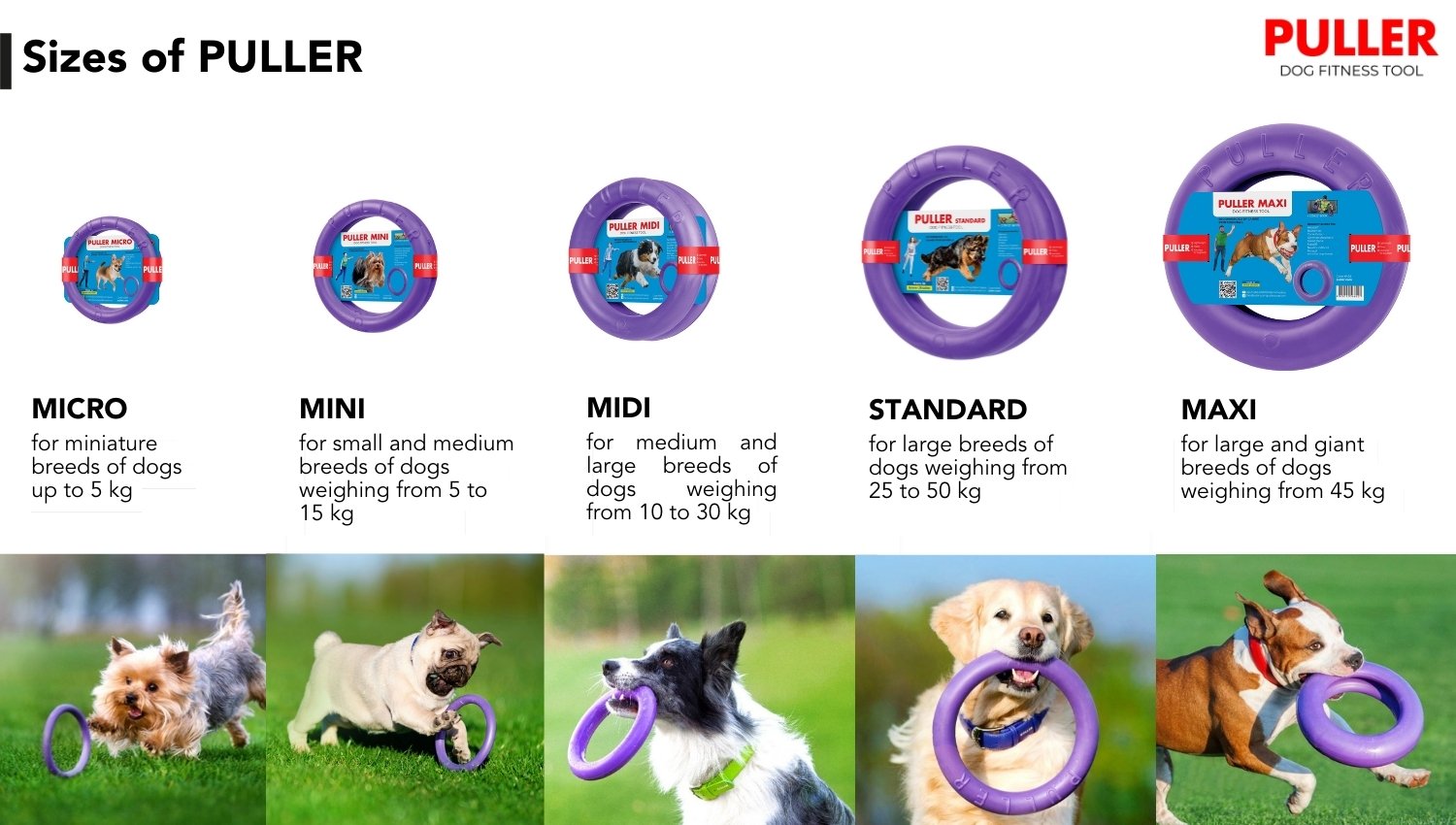 Puller Dog Fitness Tool apporteerspeelgoed nylon kunststof drijvend Maxi Ø 30 cm