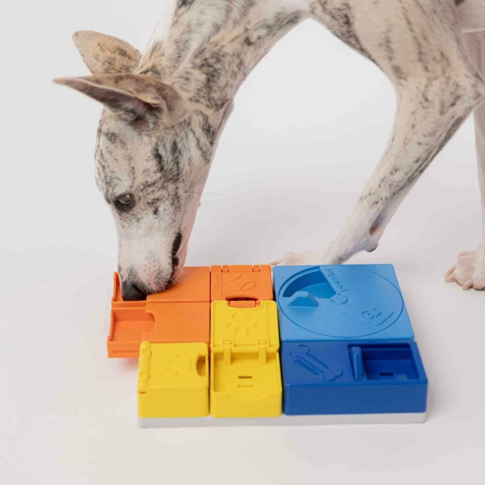 Pawzler Rainbow Set intelligentiespel voedselveilig recyclebaar