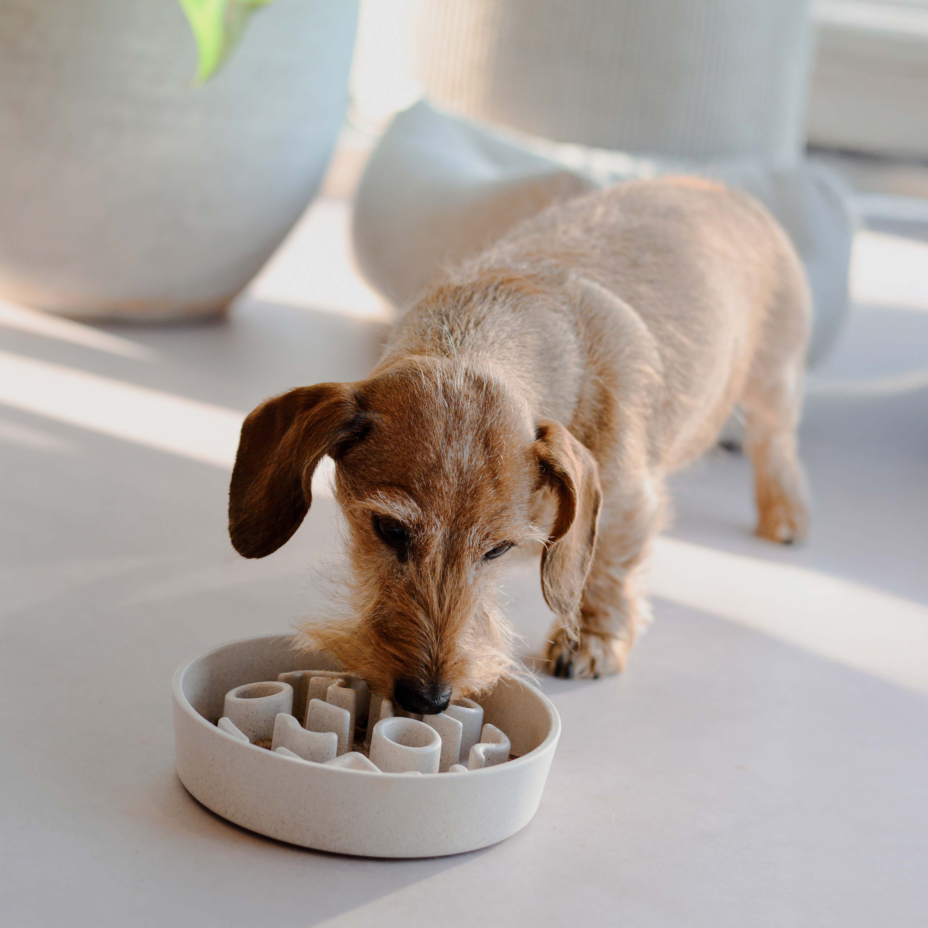 BAMBOO Slow Feeder für Hunde - Ice Blue / Ø17 cm (520ml)