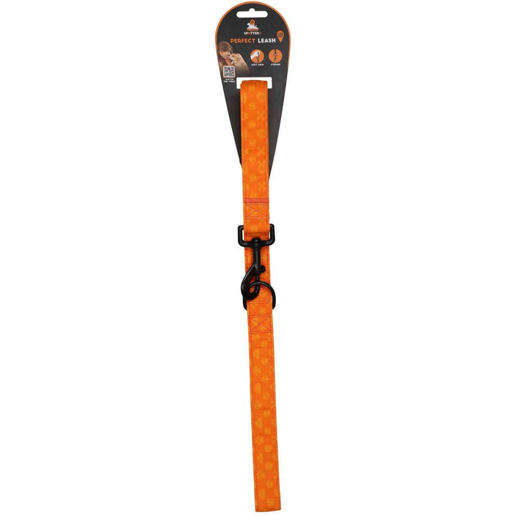Spotted! Pro Perfect Leash laisse pour chien 120 cm Orange