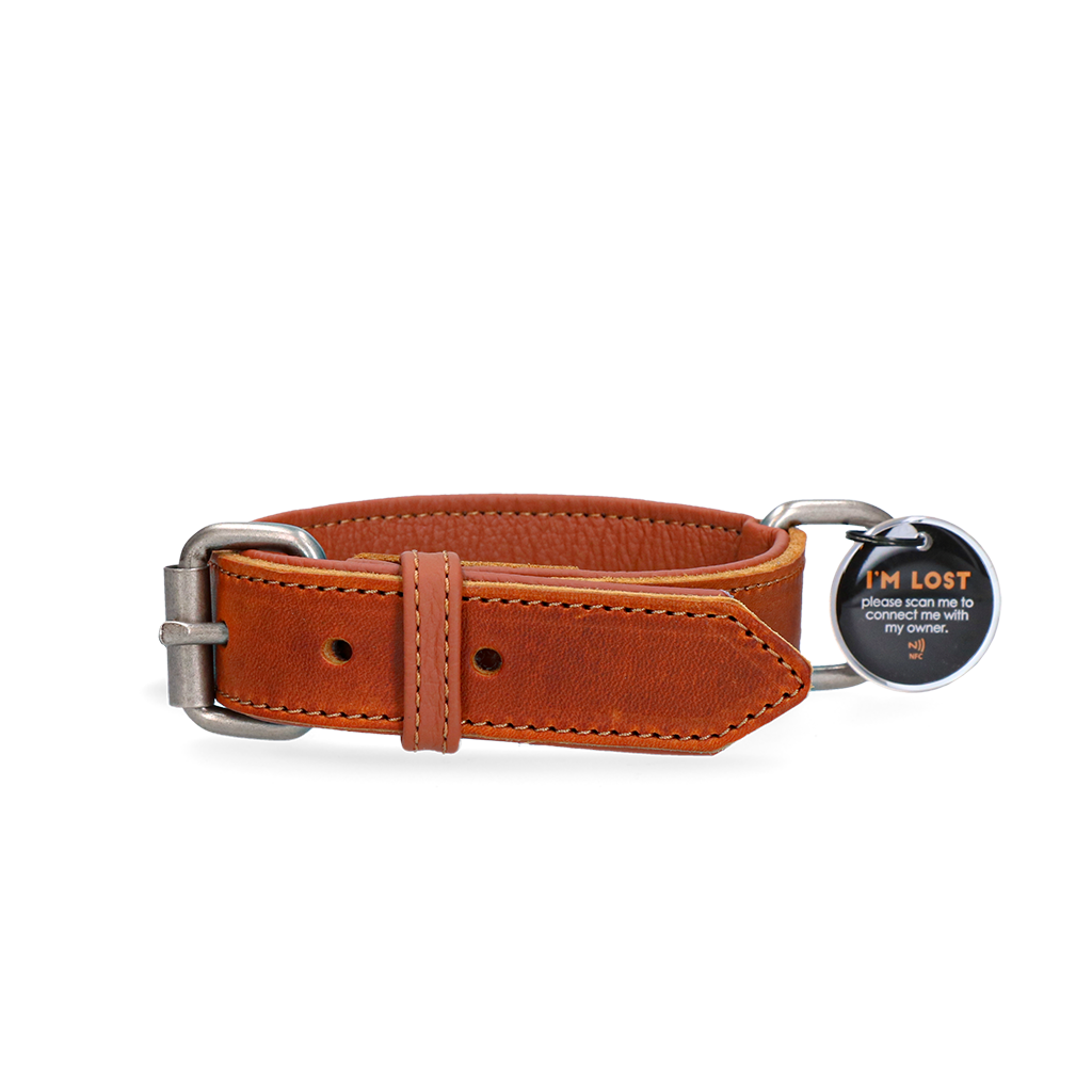 Spotted! Pro collier en cuir pour chien Cognac 45 cm