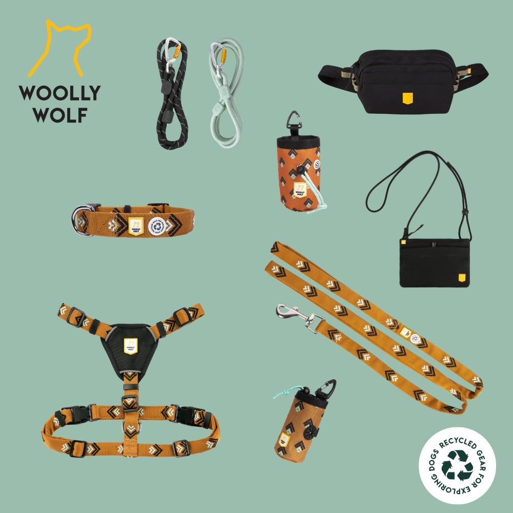 Woolly Wolf Sea to Summit Geschirr RPET XS 13.5 cm