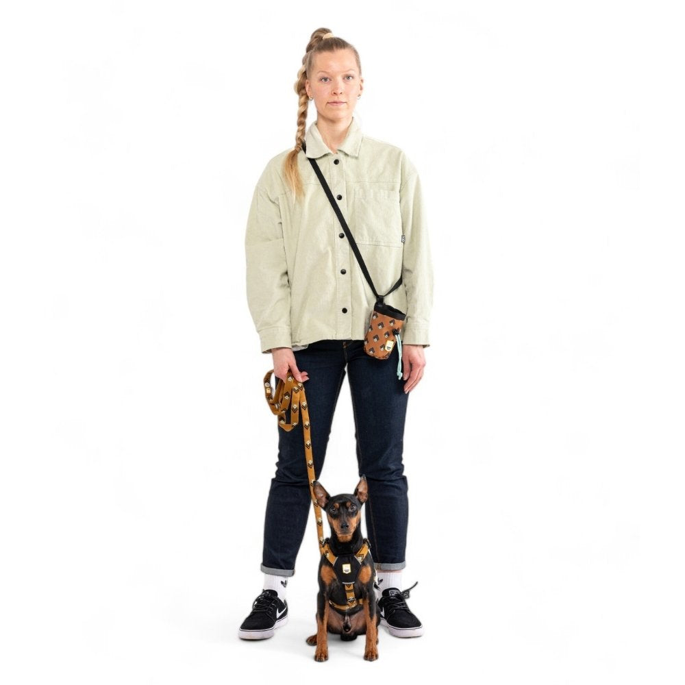 Sea to Summit Harness - L