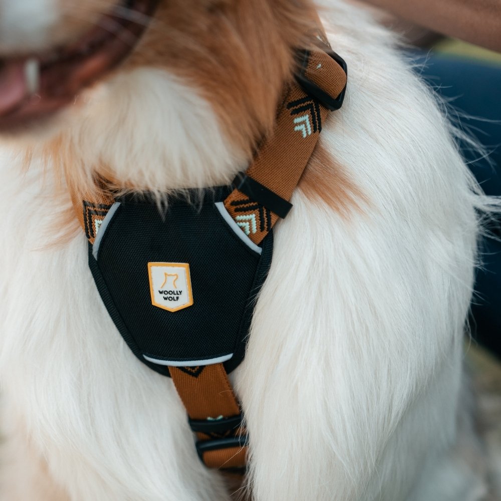 Sea to Summit Harness - S