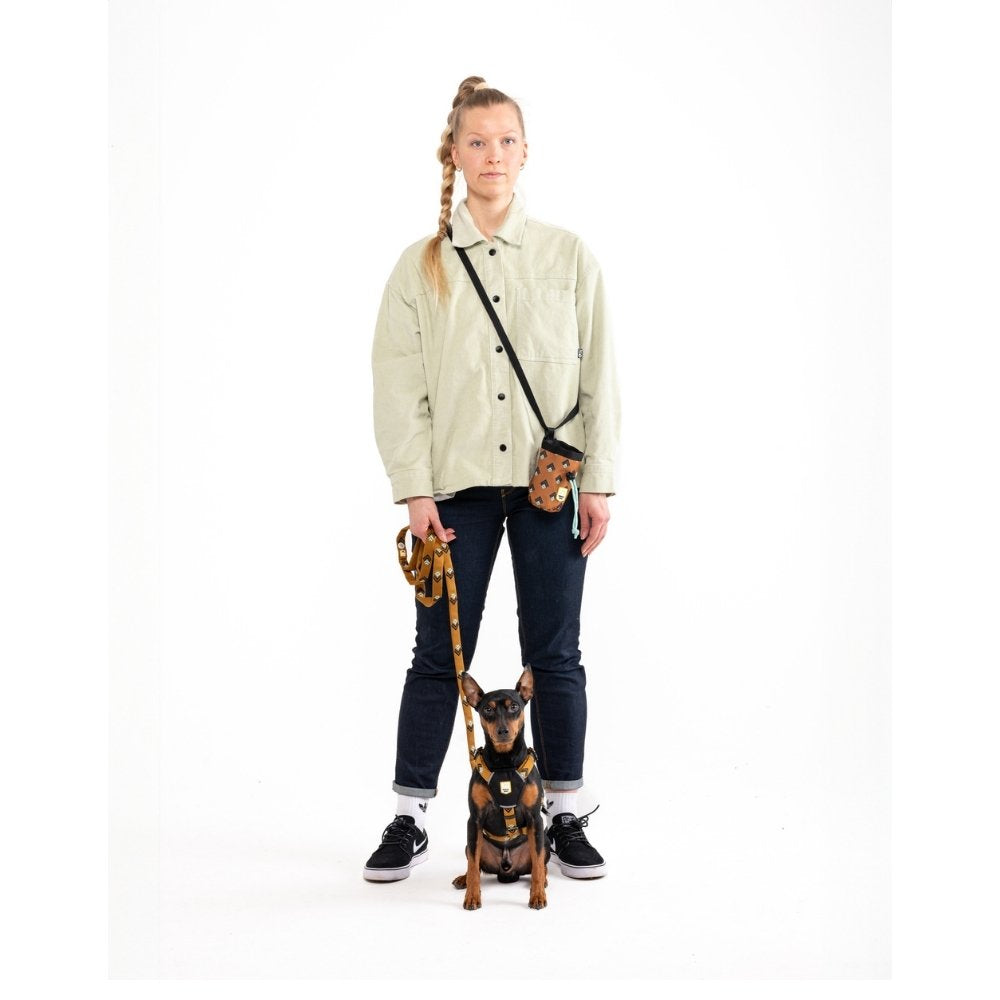 Woolly Wolf Sea to Summit hondenriem gerecycled polyester {{size_label}} 150 cm