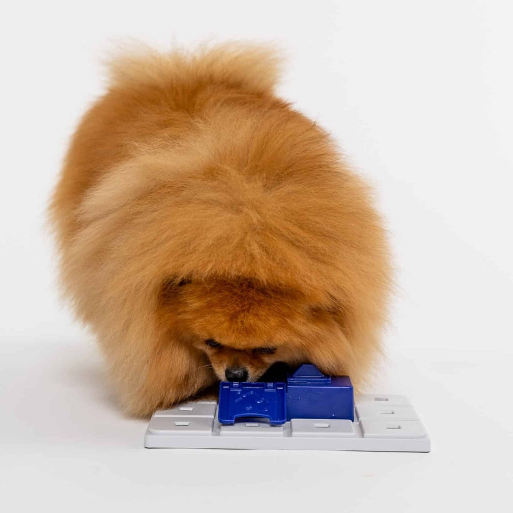 Pawzler Sela 2-delig intelligentiespel hond, niveau 3, blauw