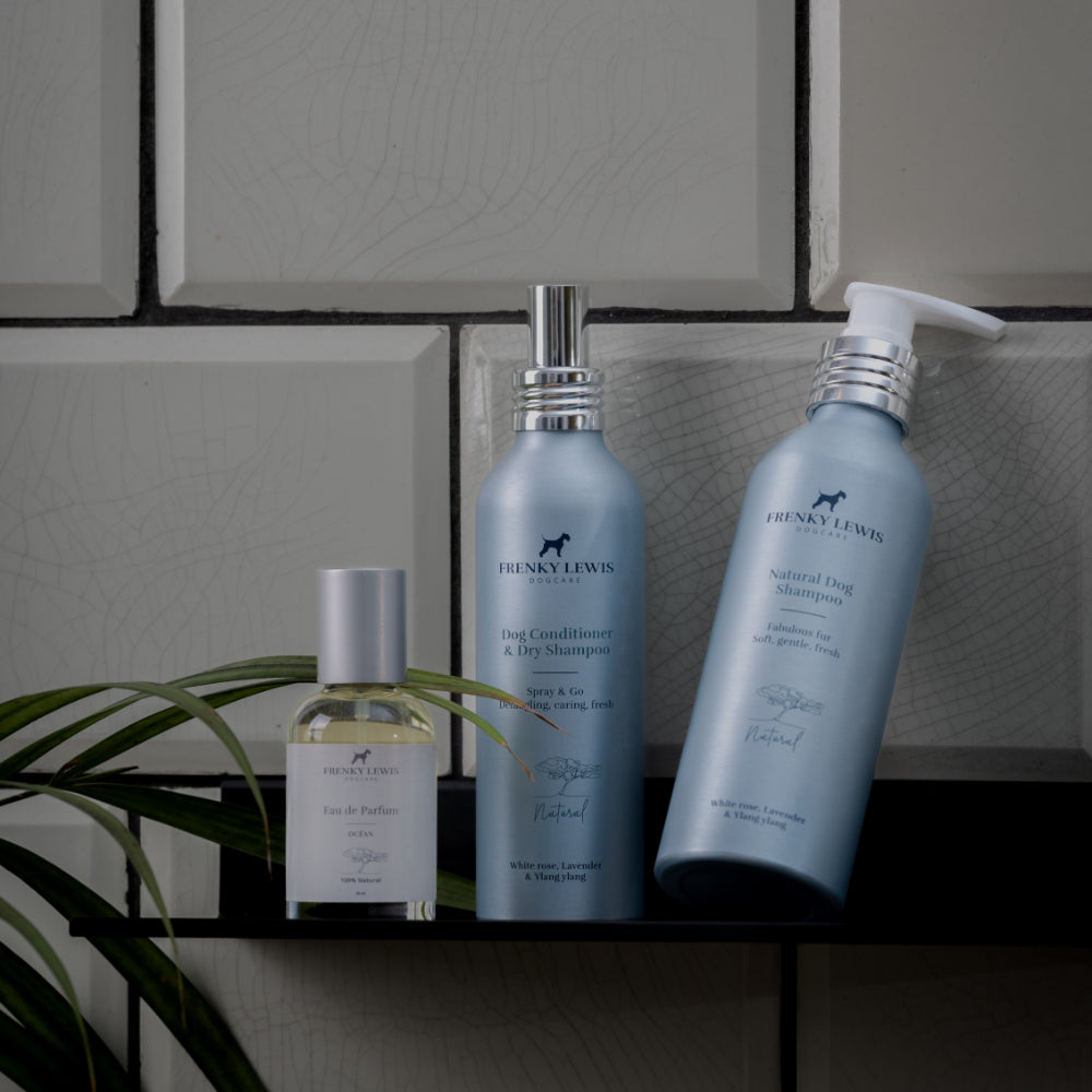 Trockenshampoo & Conditioner - 150 ml - White Rose Lavender & Ylang Ylang