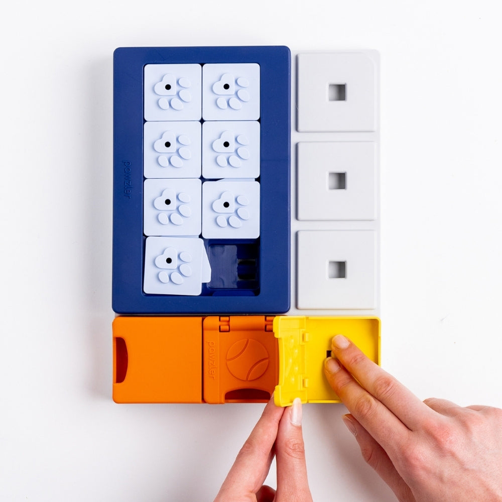 Pawzler Smarty Set intelligentiespel niveau 2-3