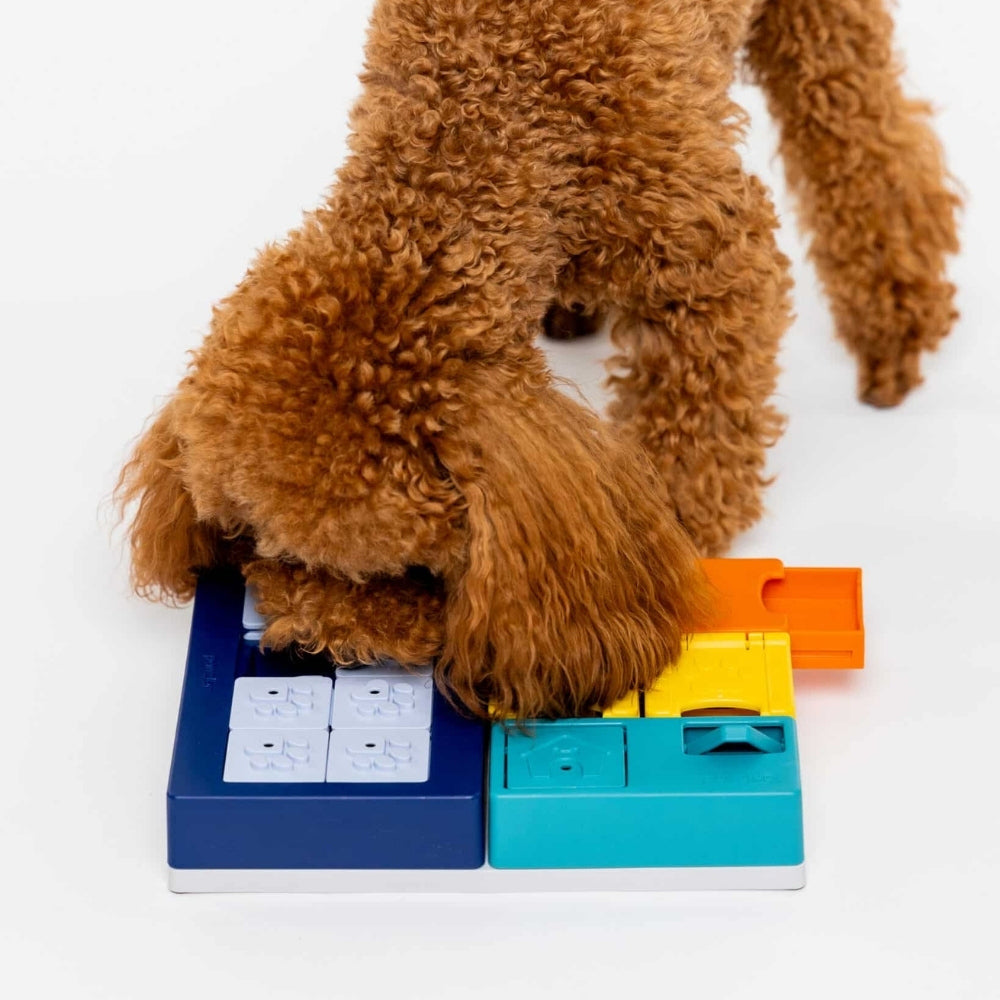 Pawzler Smarty Set intelligentiespel niveau 2-3