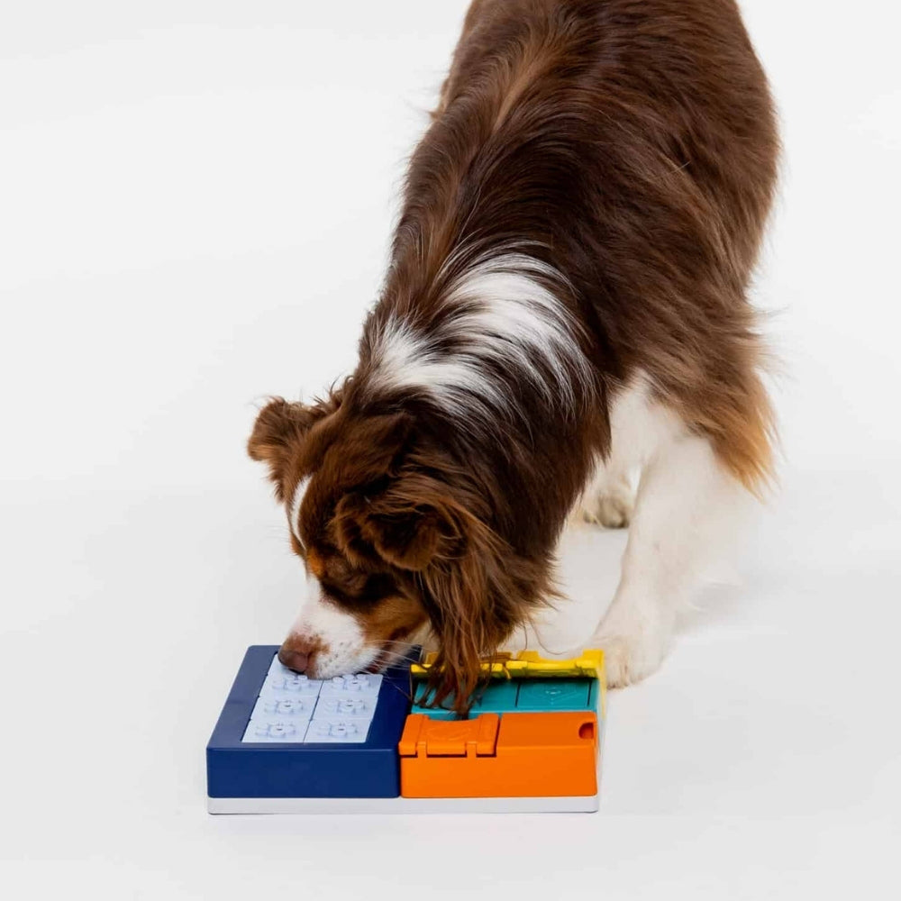Pawzler Smarty Set intelligentiespel niveau 2-3