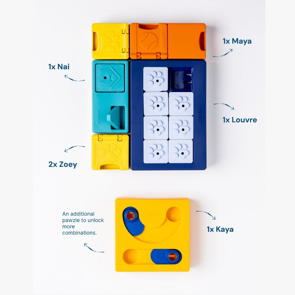 Pawzler Smarty Set intelligentiespel niveau 2-3