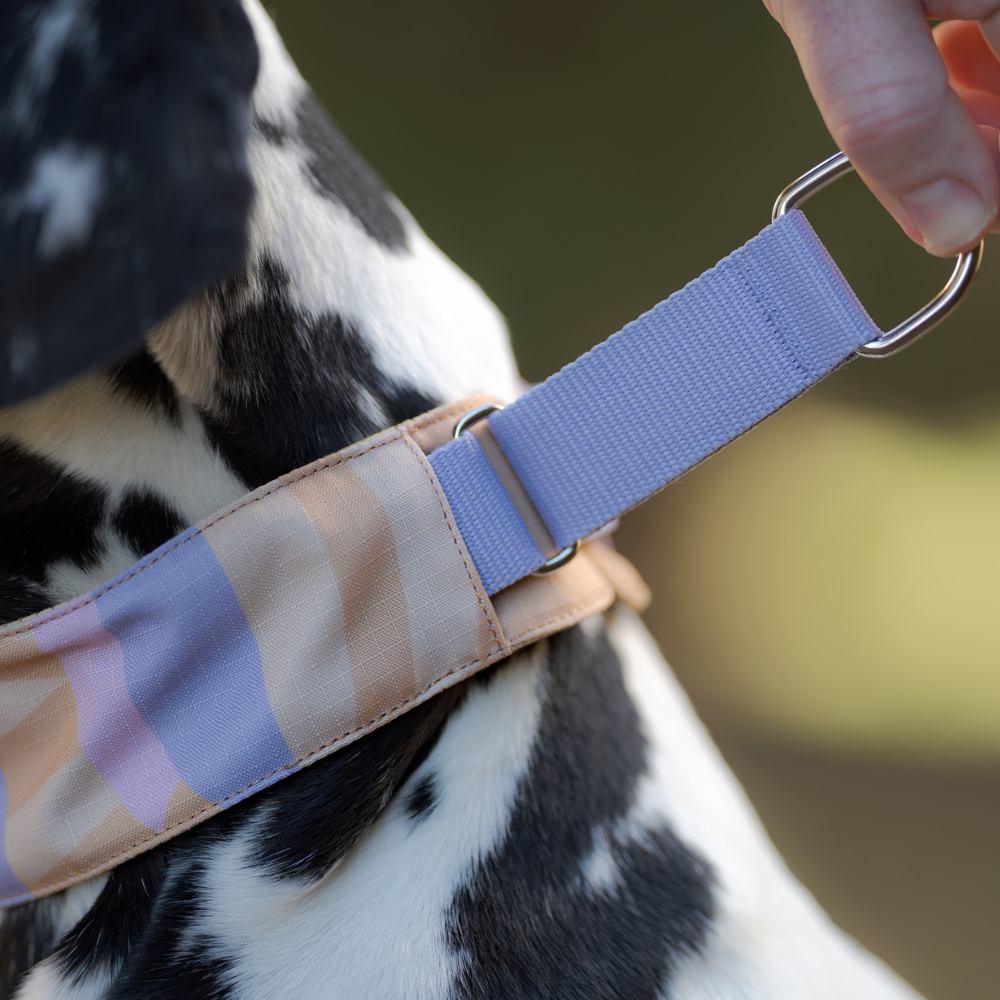 Woolly Wolf Sunshower Soft Martingale halsband RPET XS 30 cm