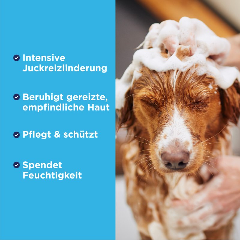 TropiClean OxyMed Anti-Itch Hafermehl-Conditioner 355 ml