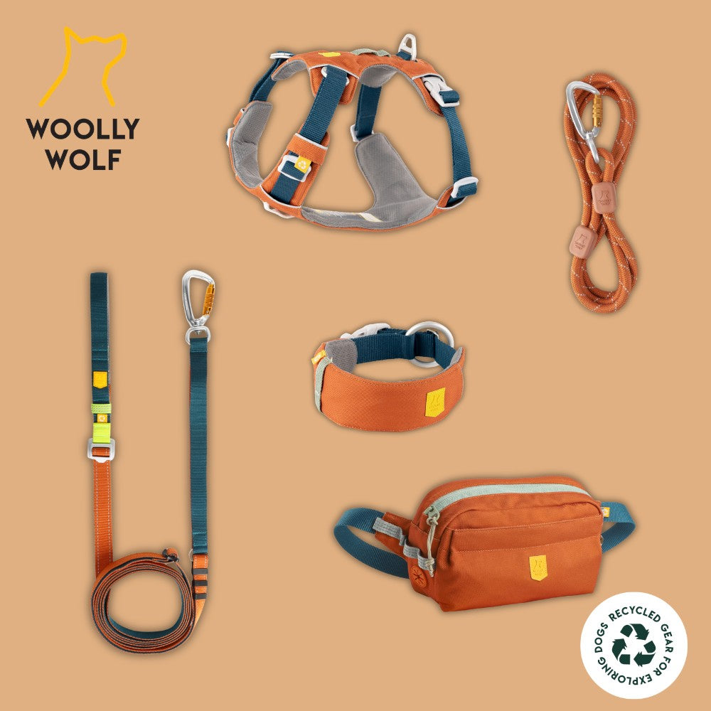 Woolly Wolf Alpha 360 halsband