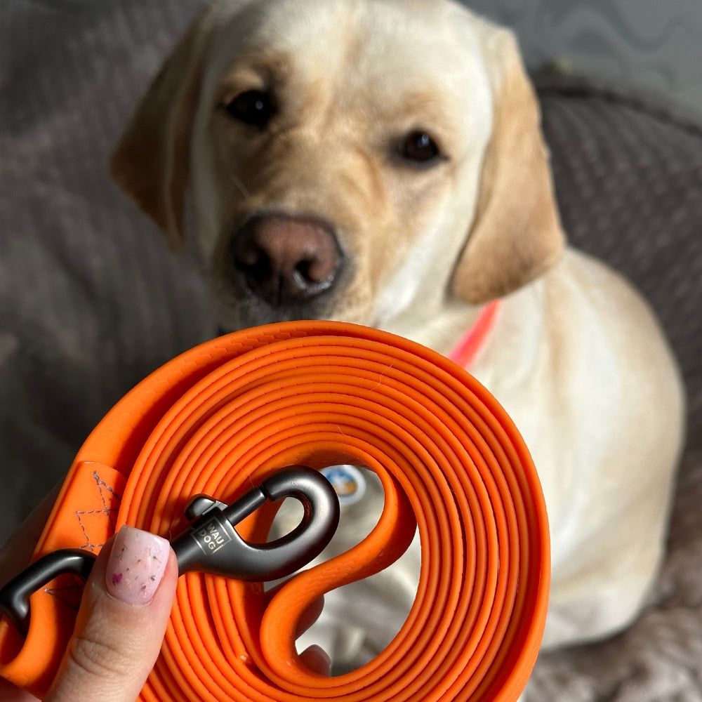 Waudog Waterproof hondenriem COLLARTEX M 183 cm Oranje