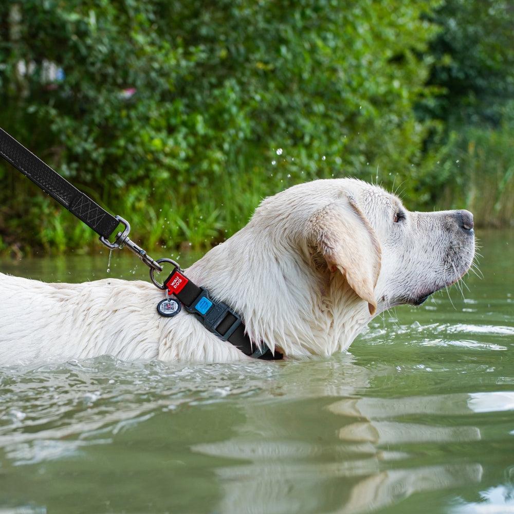 Waudog Waterproof hondenlijn