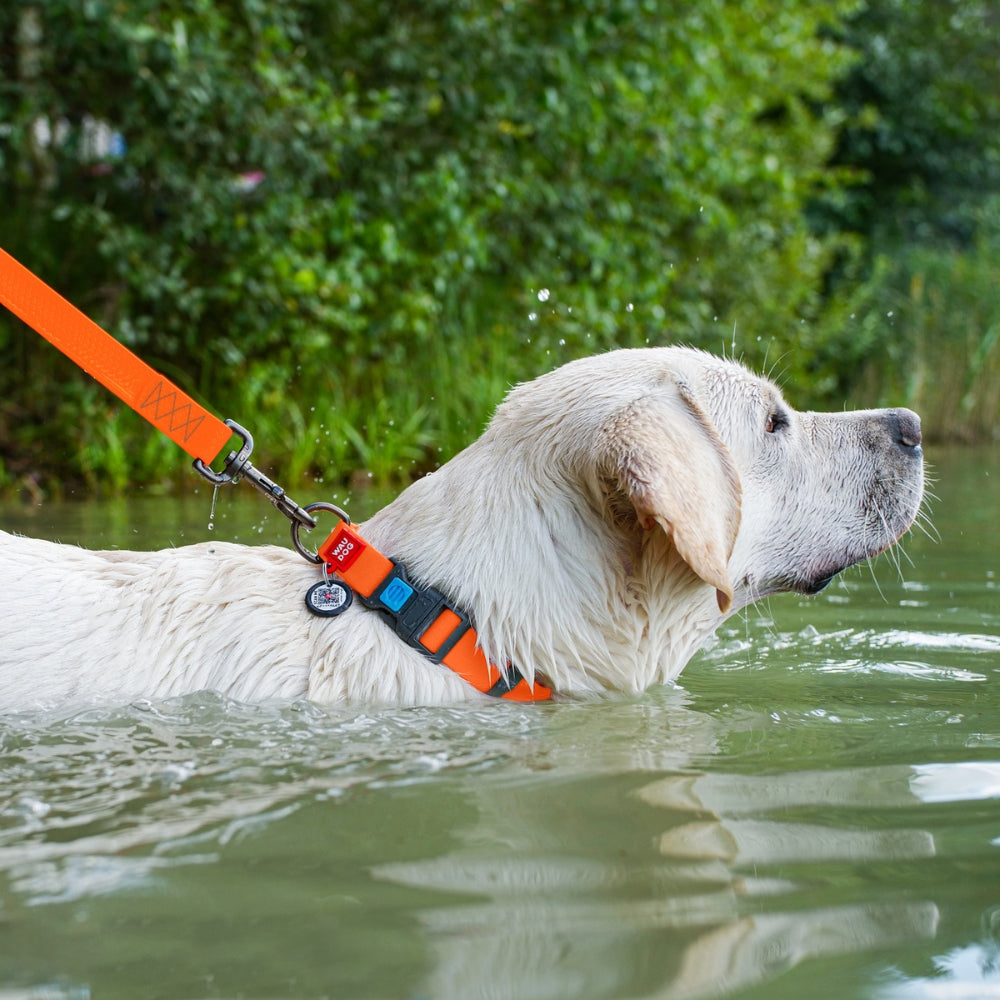 Waudog Waterproof hondenriem COLLARTEX M 183 cm Oranje