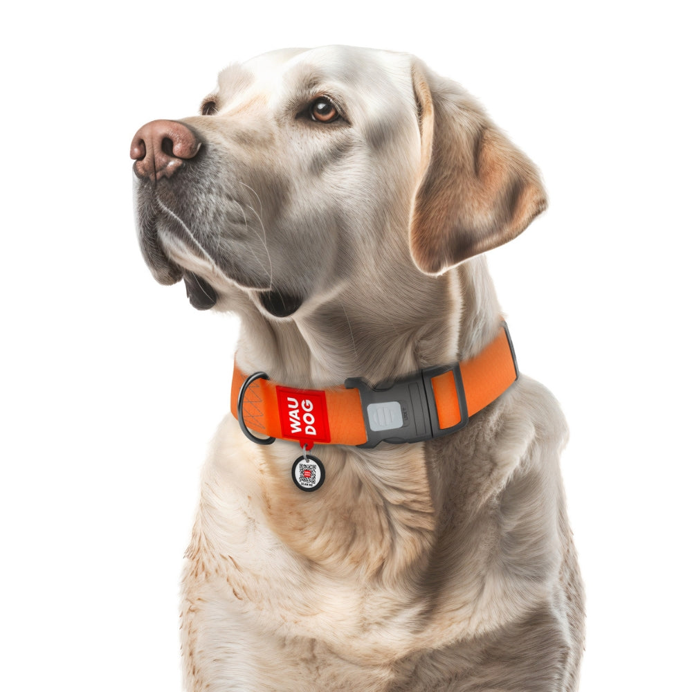 Waudog Waterproof halsband Collartex Small 35 cm Oranje
