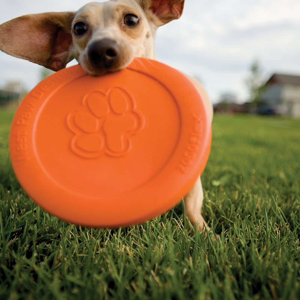 Zogoflex Zisc - Tangerine Orange / Small - 16 cm