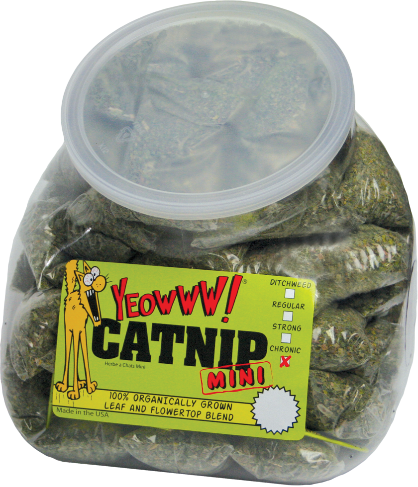 Yeowww! Minis catnip 50 zakjes van 4 g