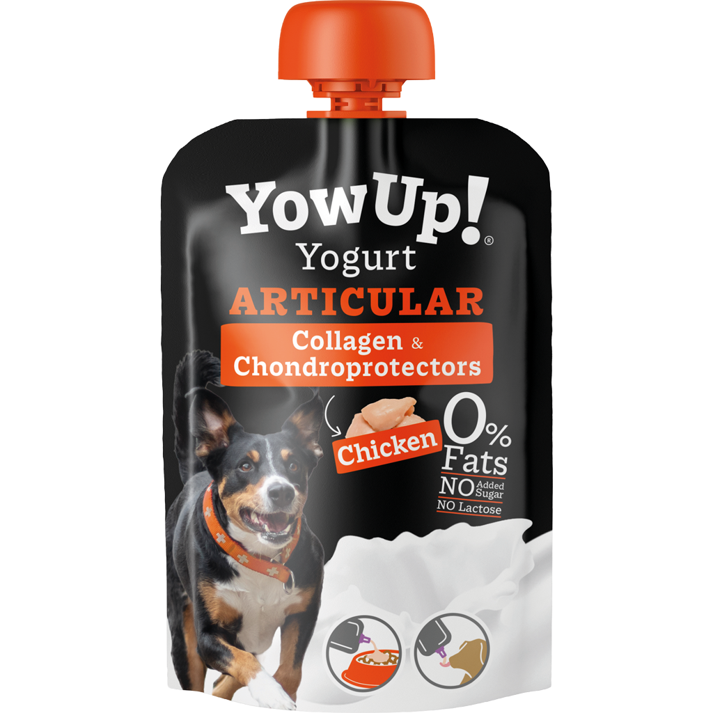 YowUp! Joghurt Articular Huhn Hundesnack