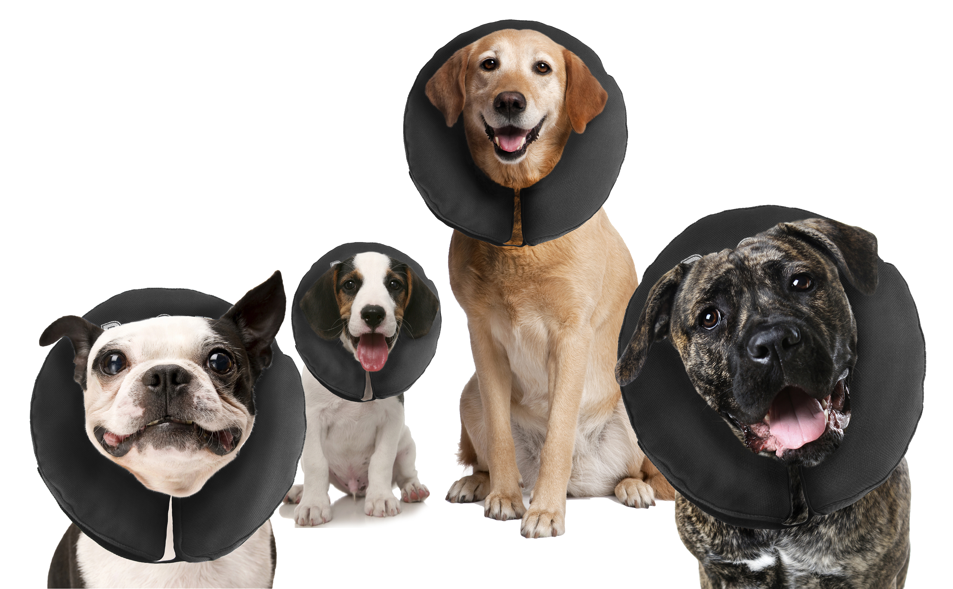 Zenpet ProCollar M beschermkraag
