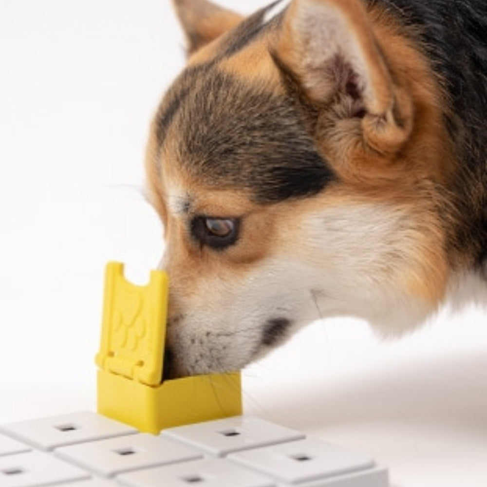 Pawzler Zoey intelligentiespel geel Niveau 2