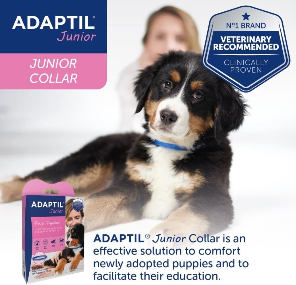 Adaptil Junior Collar | 45 cm Hondenhalsband voor Puppies
