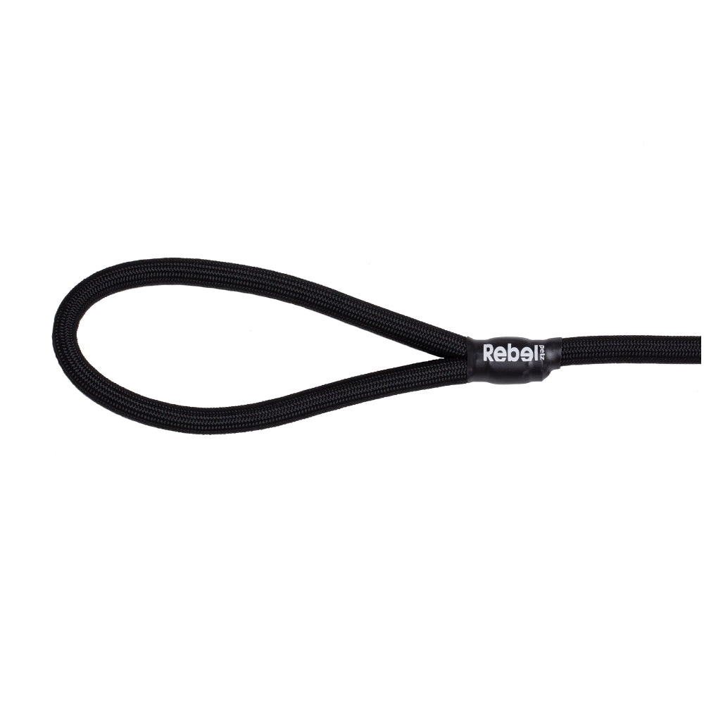 Basic Leash - Schwarz / Large - 12 mm x 140 cm