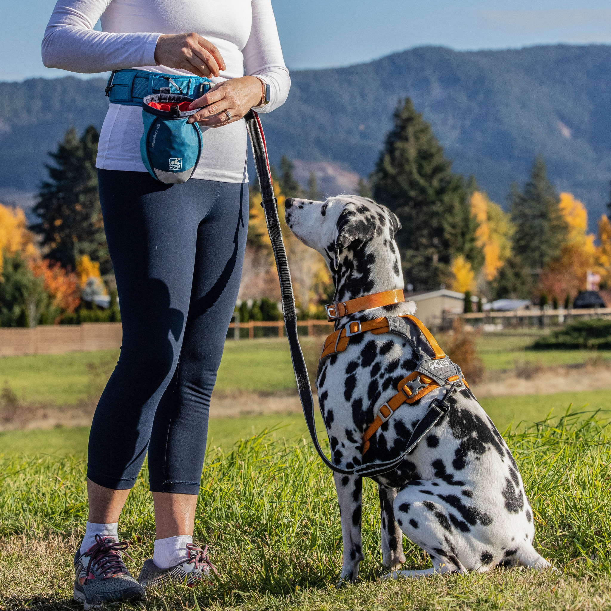 Kurgo honden traktatentasje Go Stuff It Chili Rood – handige bevestiging