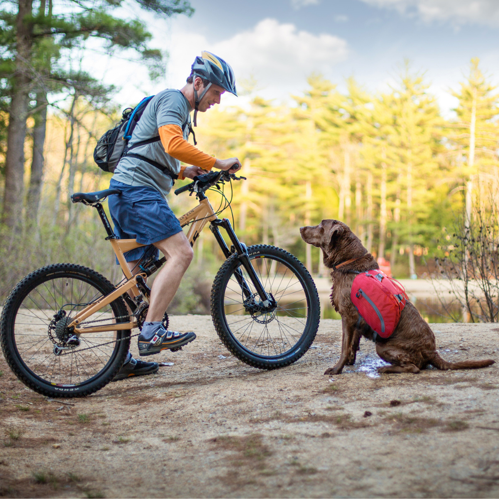 Kurgo hondenrugzak Baxter Backpack Large (22-50 kg) – lichtgewicht