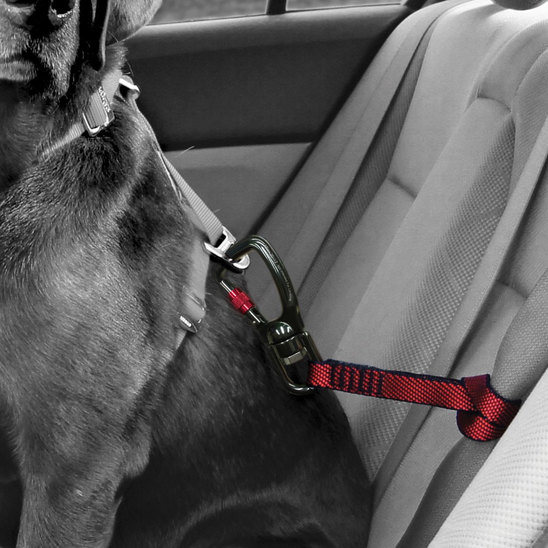 Kurgo hondenautogordel Swivel Tether – sterk voor grote honden