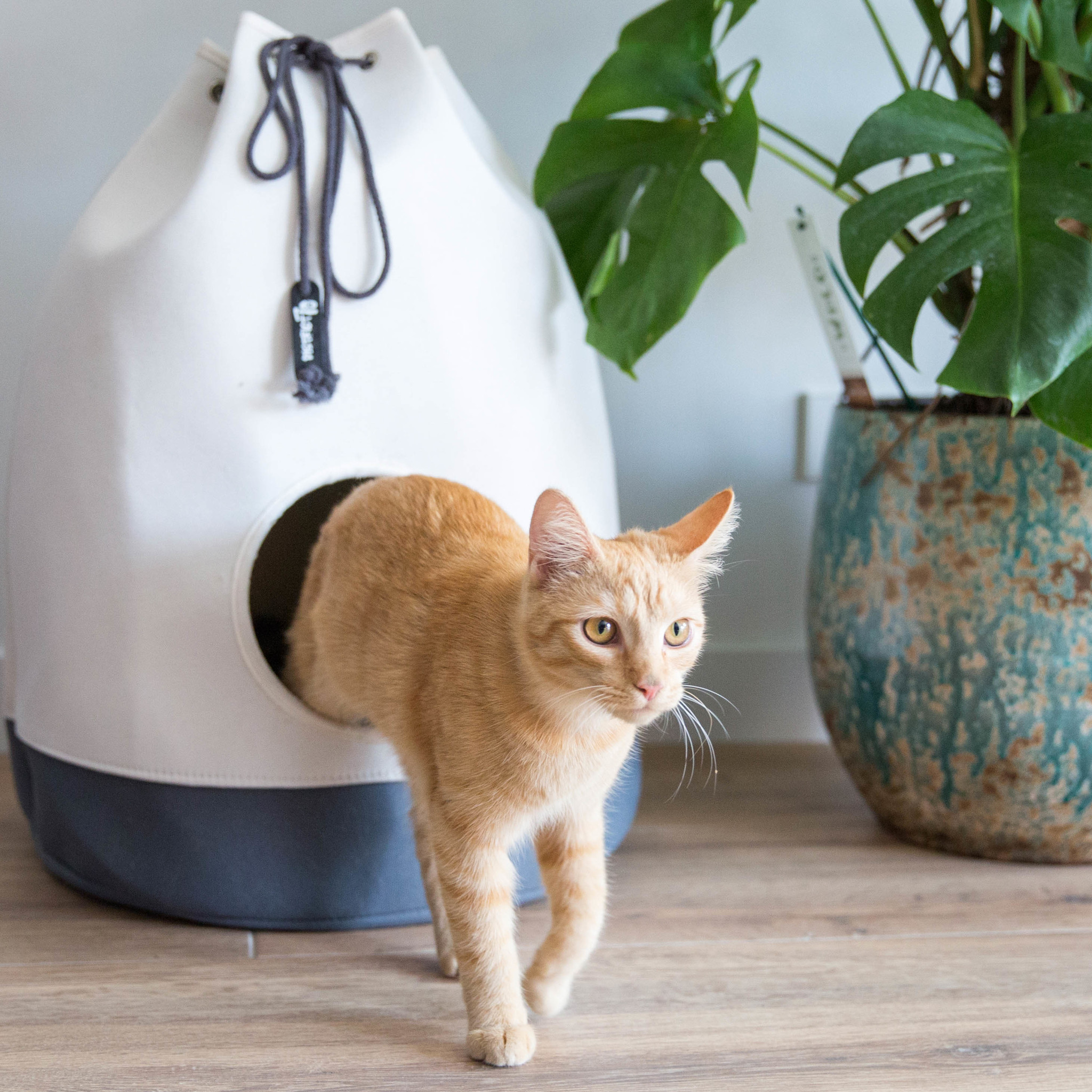 District 70 kattenhuis CASA Donkergrijs  – perfecte schuilplaats