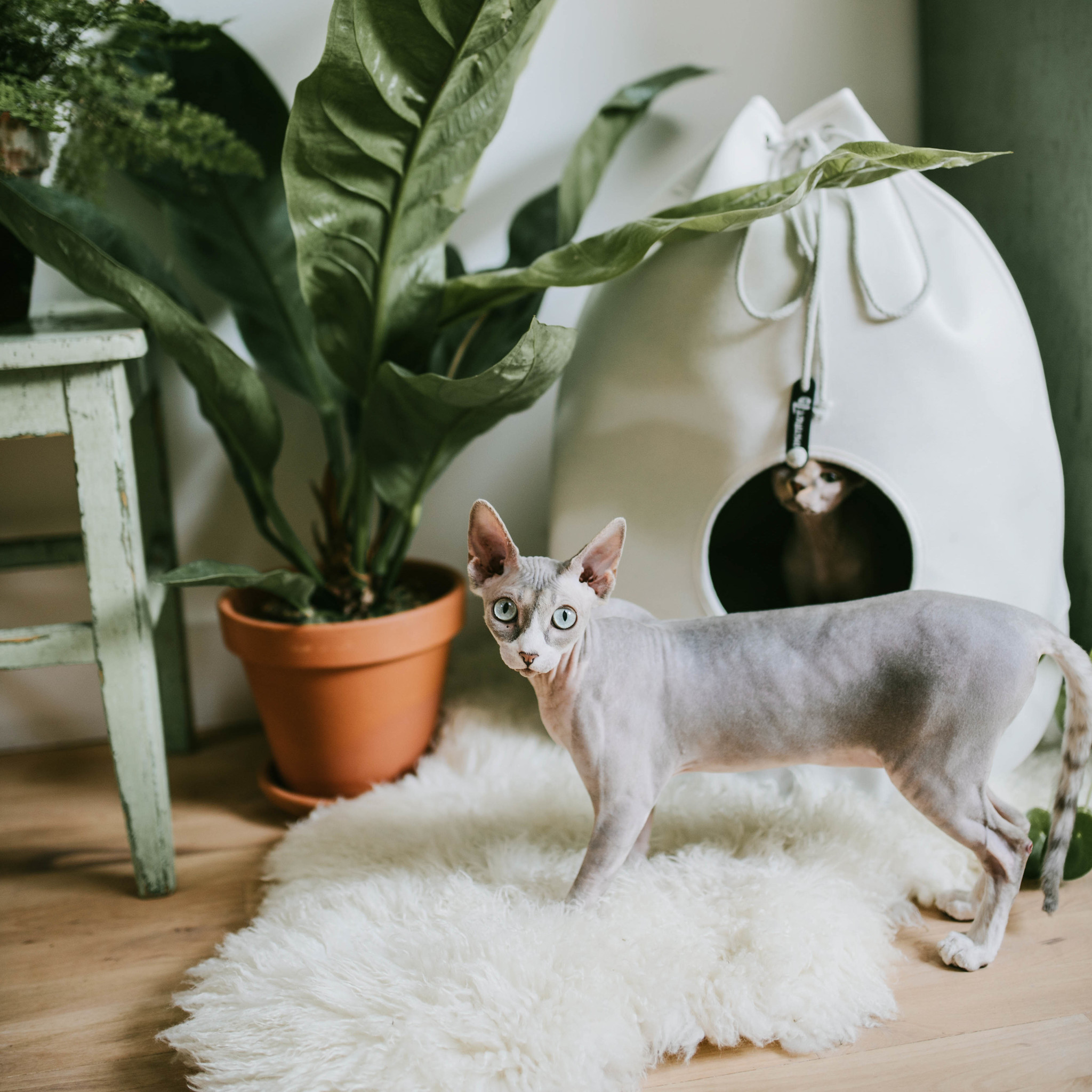 District 70 kattenmand CASA Merengue 40×40 cm – Donkergrijs