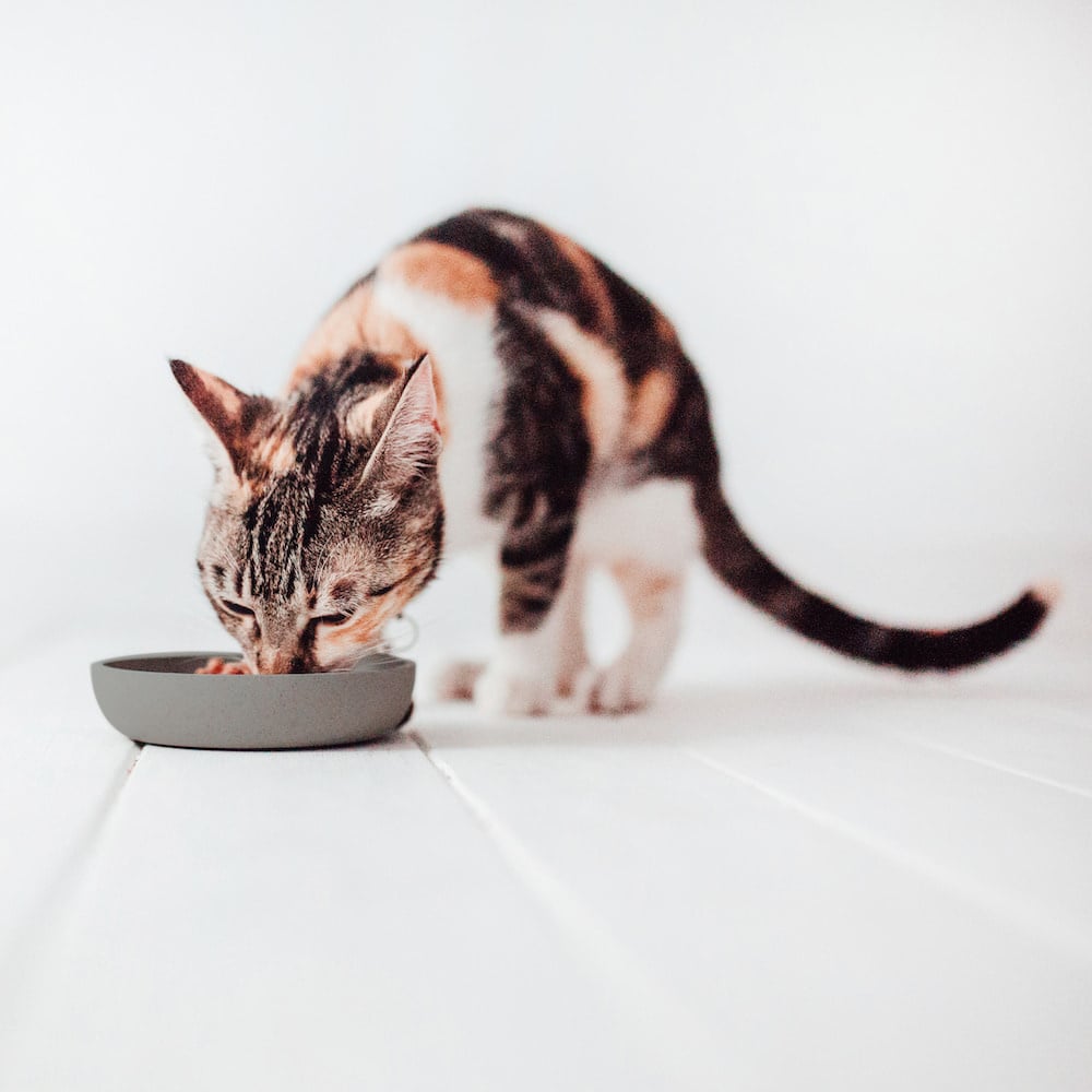 District 70 Kattenvoerbak BAMBOO Grey 22×14 cm – Stijlvol Design