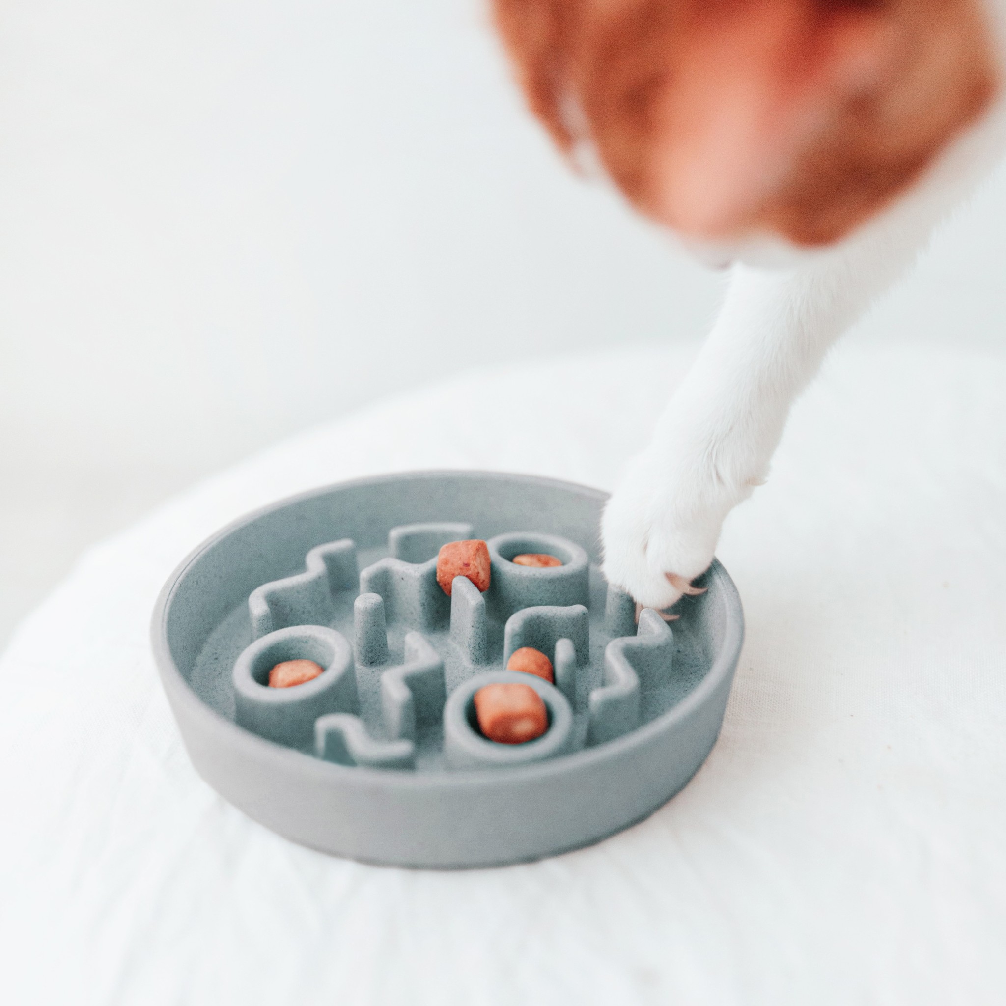 District 70 BAMBOO Slow Feeder Katten Ø13,5 cm – Ice Blue